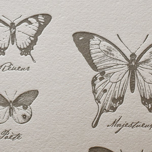 A close up of vintage-style illustrated art print with French text names of the drawings of various butterflies on off-white cotton paper.