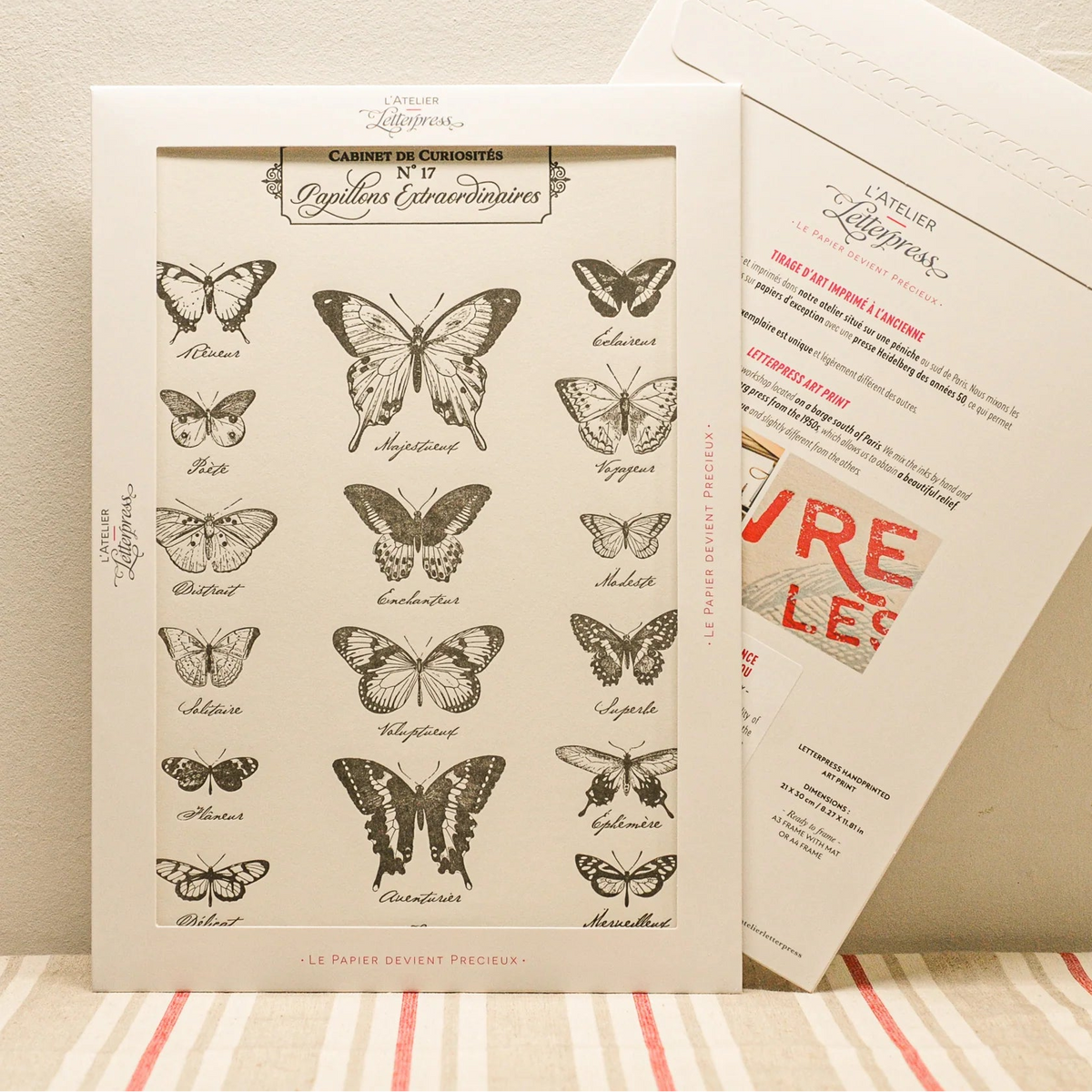 A vintage-style art print featuring warm grey illustrations of butterflies, displayed in a cardboard envelope with another showing the back side behind it on a striped fabric surface against a beige wall.