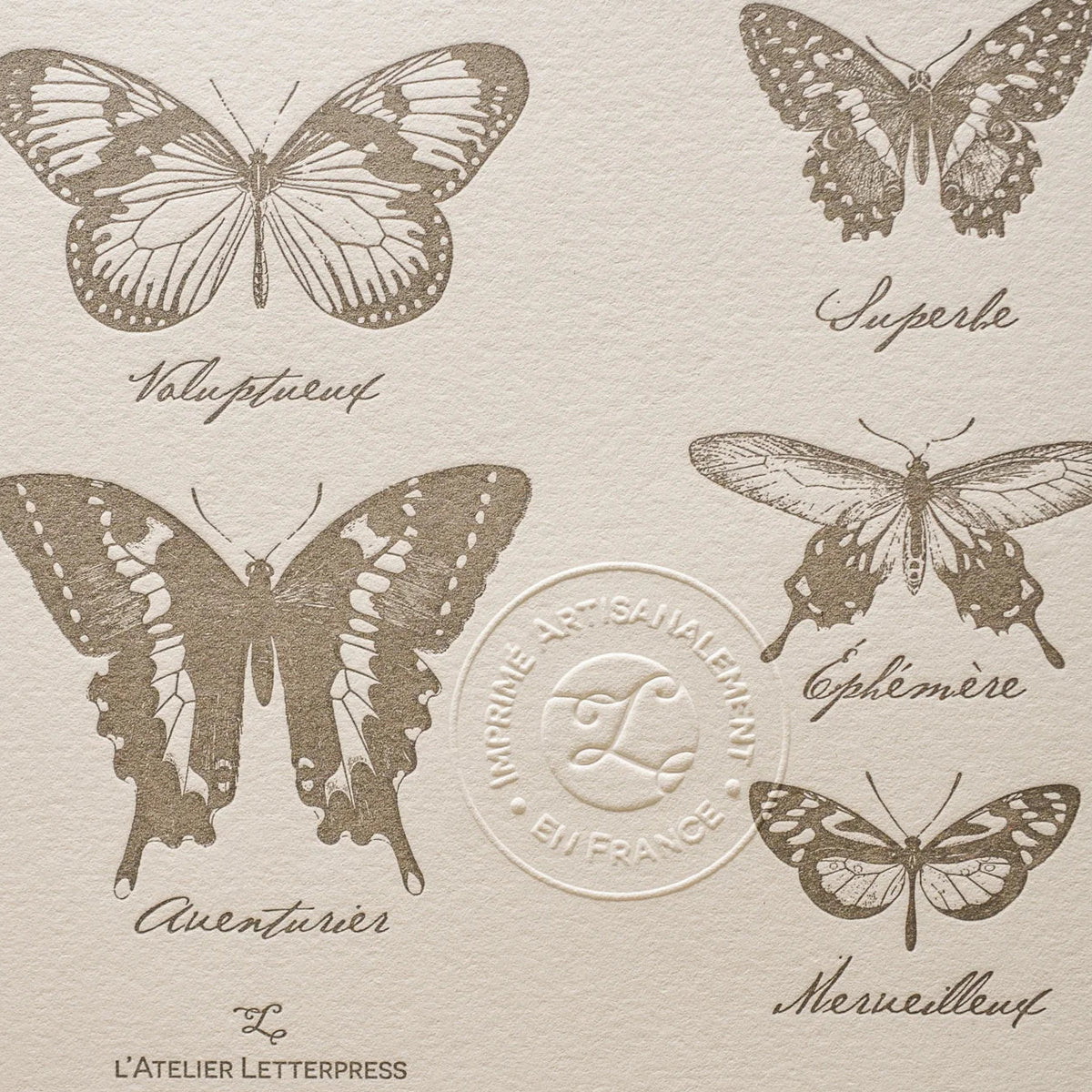 A close up of vintage-style illustrated art print with illustrations of various different kinds of butterflies on off-white cotton paper, showing the embossed stamp of authenticity.