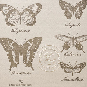 A close up of vintage-style illustrated art print with illustrations of various different kinds of butterflies on off-white cotton paper, showing the embossed stamp of authenticity.