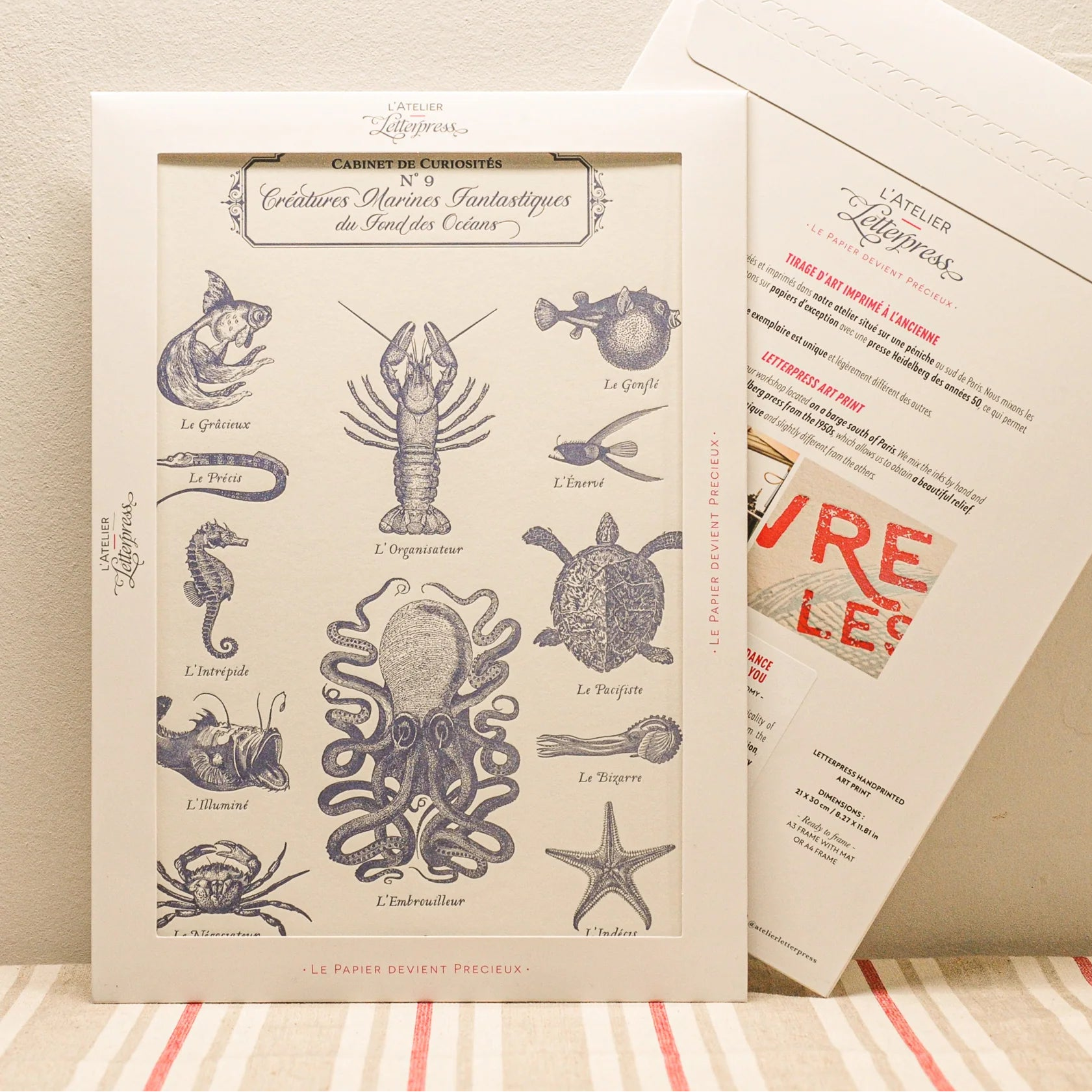A vintage-style art print featuring navy blue illustrations of various sea creatures, displayed in a cardboard envelope with another showing the back side behind it on a striped fabric surface against a beige wall.