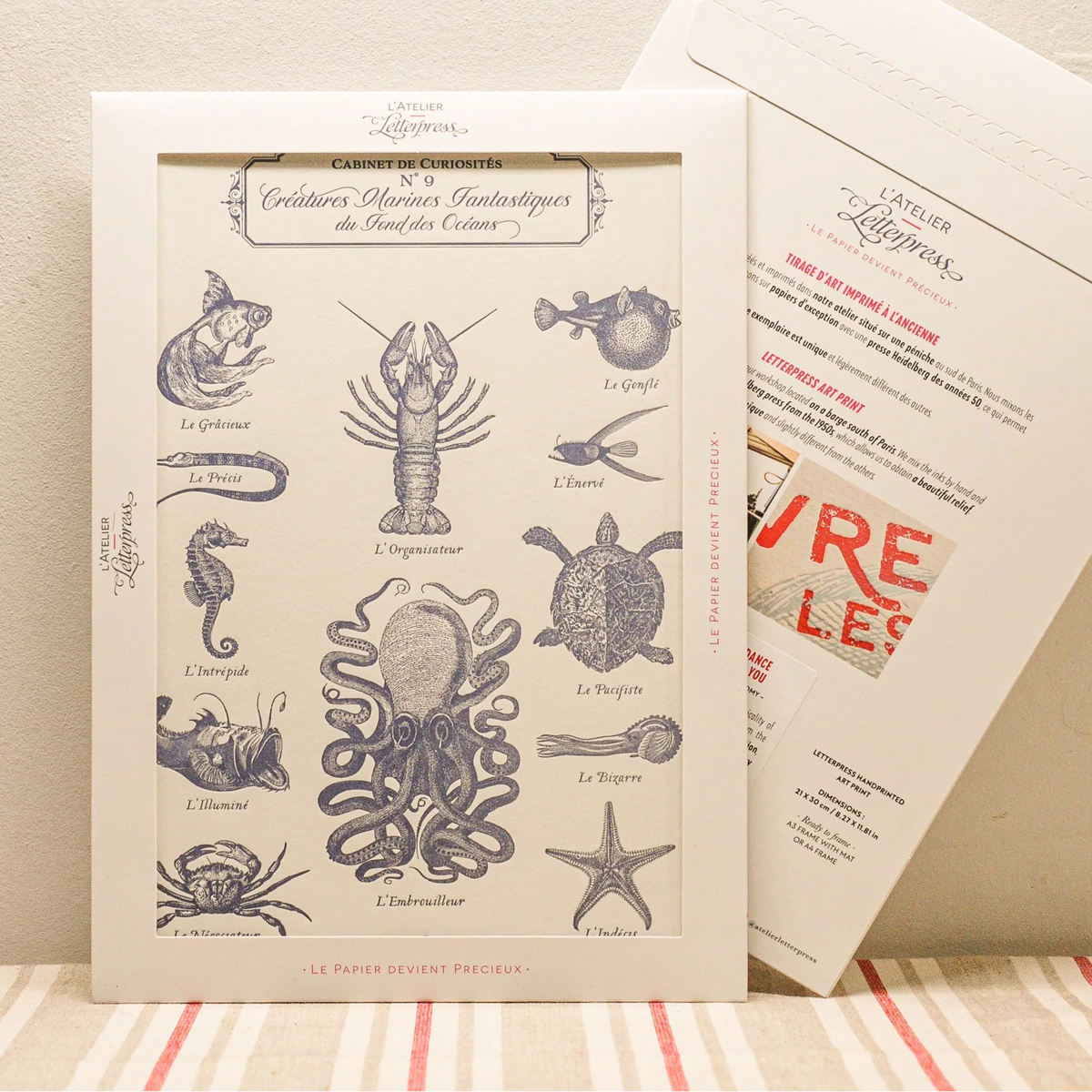 A vintage-style art print featuring navy blue illustrations of various sea creatures, displayed in a cardboard envelope with another showing the back side behind it on a striped fabric surface against a beige wall.