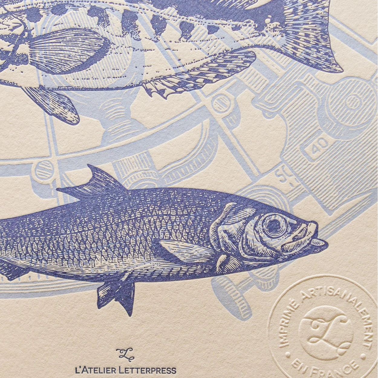 A close up of vintage-style illustrated art print with illustrations of two fish and a sextant in the background, on textured off-white cotton paper, showing the embossed stamp of authenticity.