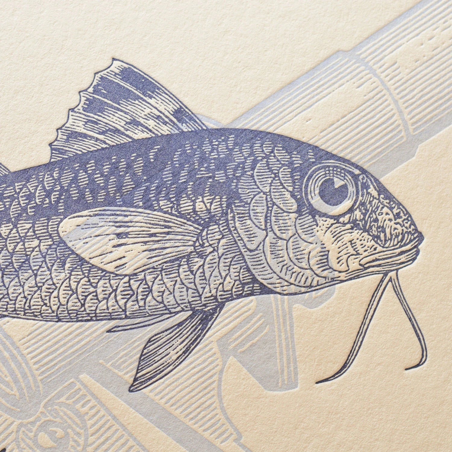 A close up of vintage-style illustrated art print featuring a blue detailed drawing of a fish on textured off-white cotton paper.