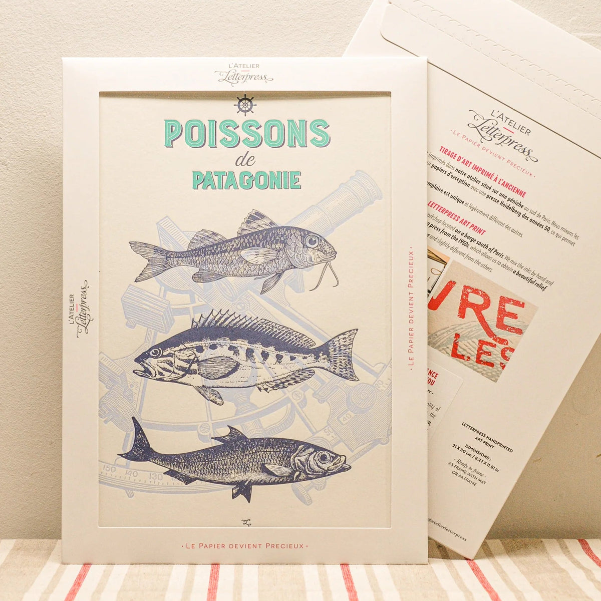 A vintage-style art print featuring blue illustrations of 3 different kinds of fish, displayed in a cardboard envelope with another showing the back side behind it on a striped fabric surface against a beige wall.