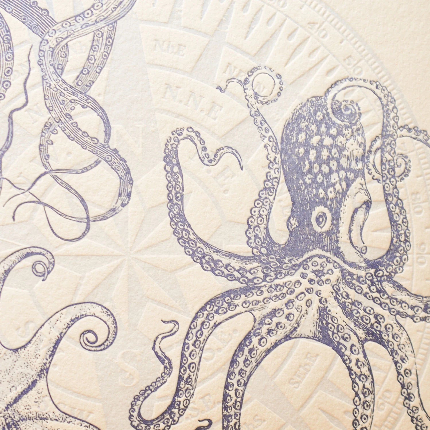 A close up of vintage-style illustrated art print featuring dark blue detailed drawings of octopuses and a compass in the background, on off-white cotton paper.