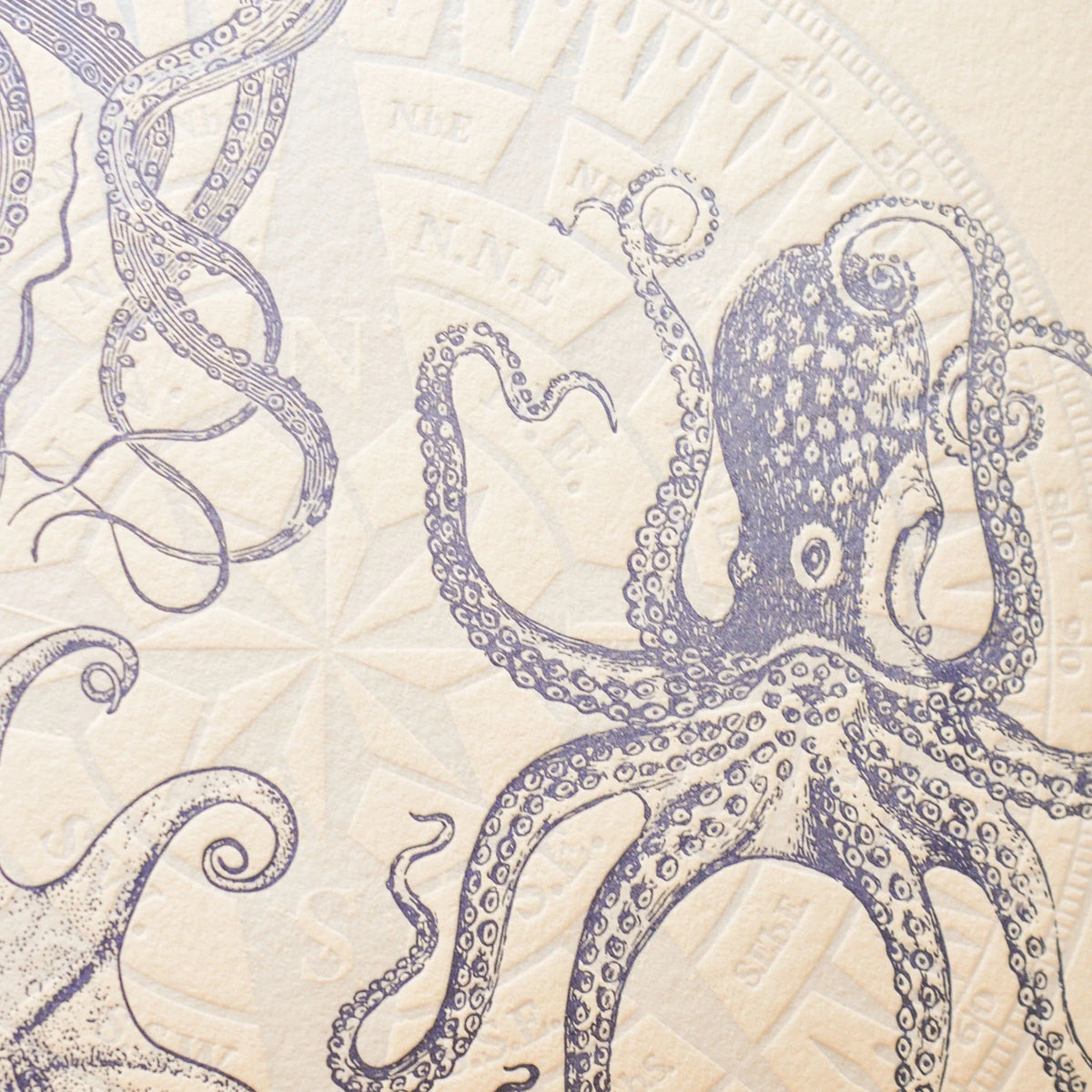 A close up of vintage-style illustrated art print featuring dark blue detailed drawings of octopuses and a compass in the background, on off-white cotton paper.