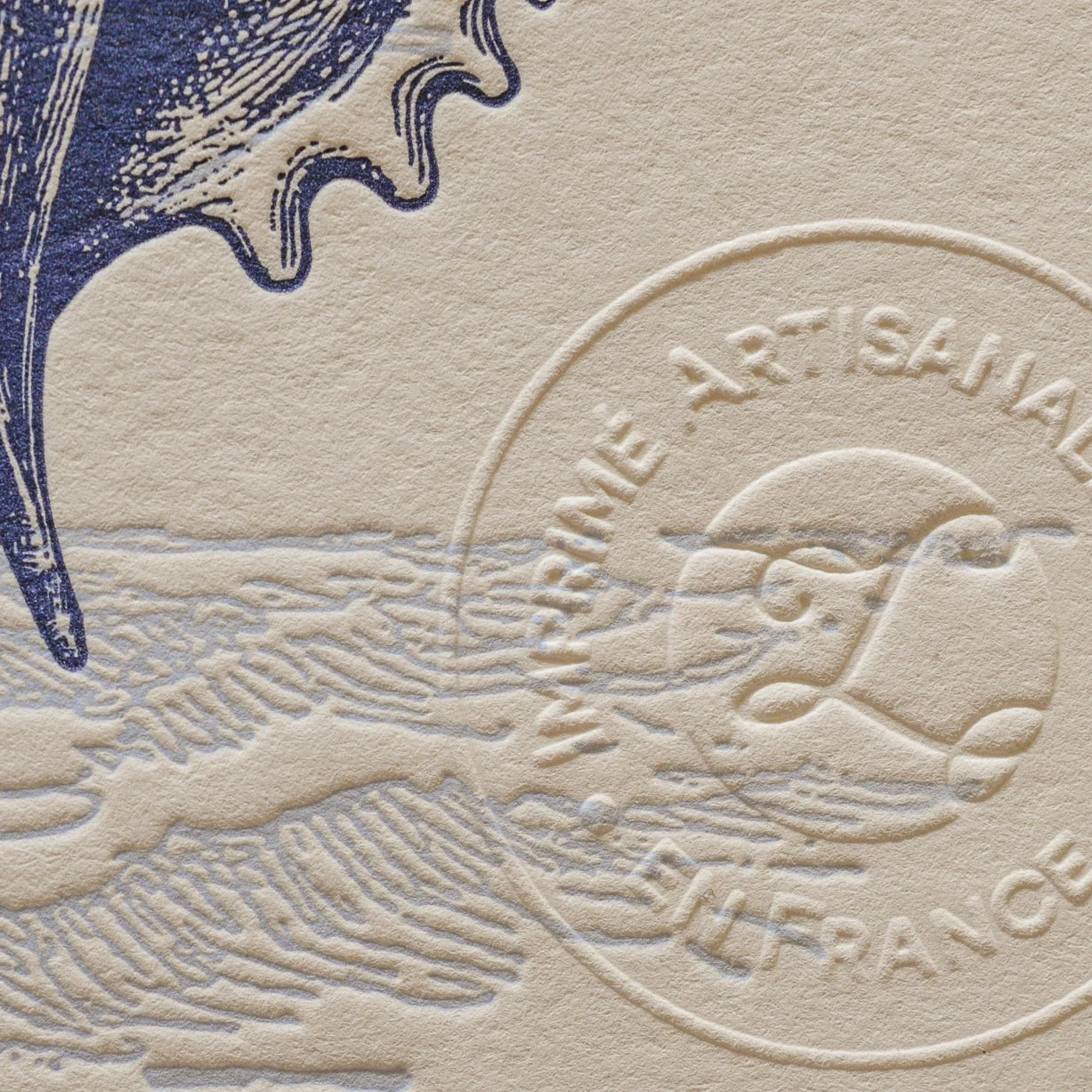 A close up of vintage-style illustrated art print with an illustrations of the corner of a seashell on off-white cotton paper, showing the embossed stamp of authenticity.