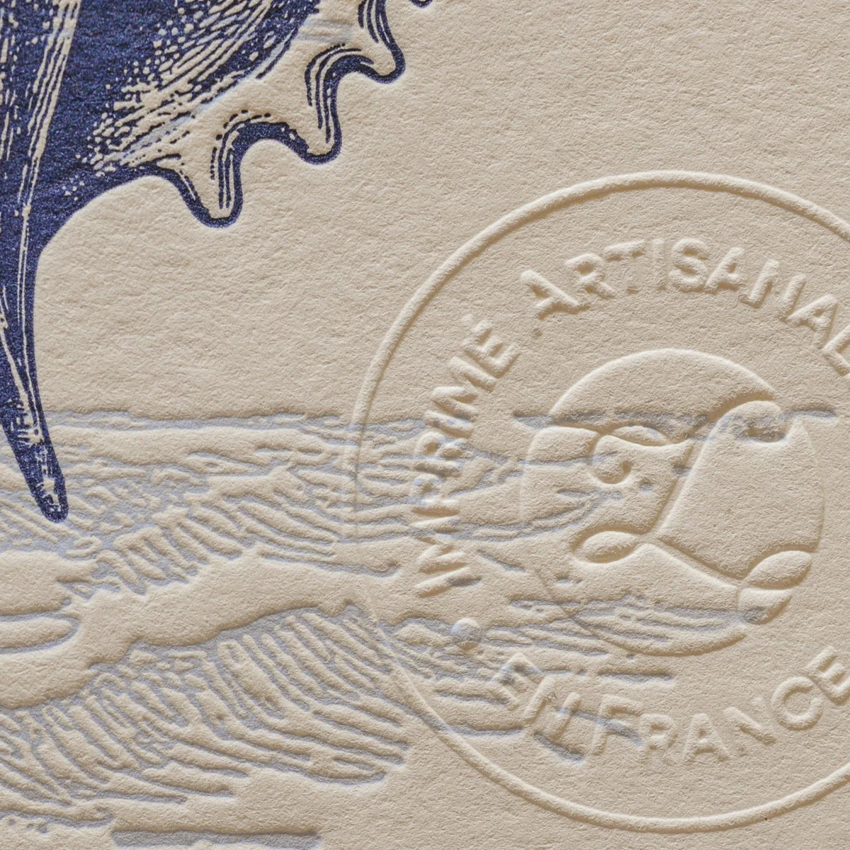 A close up of vintage-style illustrated art print with an illustrations of the corner of a seashell on off-white cotton paper, showing the embossed stamp of authenticity.