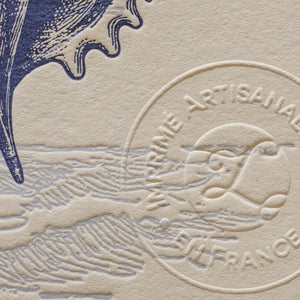 A close up of vintage-style illustrated art print with an illustrations of the corner of a seashell on off-white cotton paper, showing the embossed stamp of authenticity.