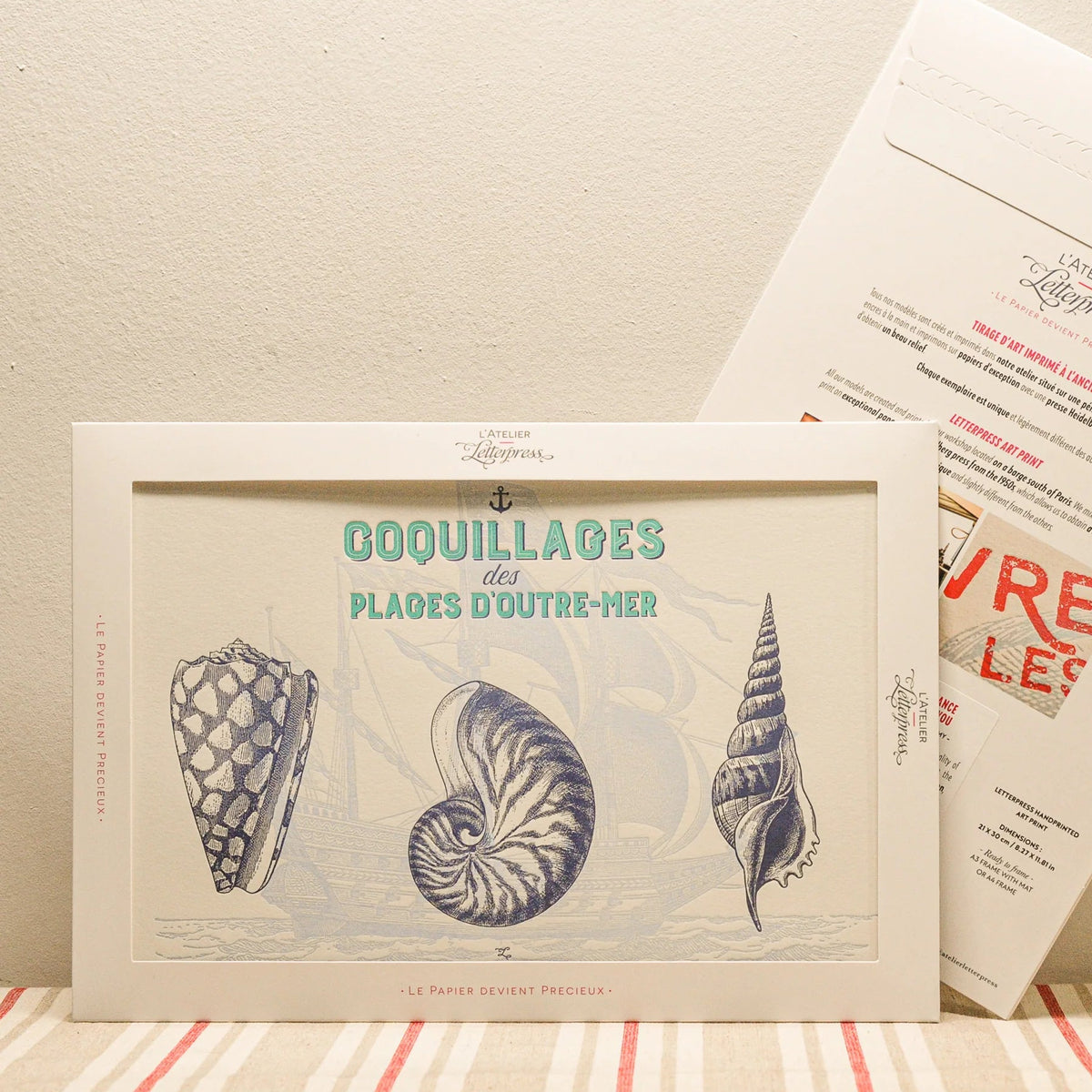 A vintage-style art print featuring three detailed navy blue seashell illustrations, displayed in a cardboard envelope with another showing the back side behind it on a striped fabric surface against a beige wall.