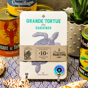 Packaged set of 10 Maritime sea creatures art print cards bound together with a recycled brown paper strip, displayed on a patterned blue and white pattern background with seashells and canned seafood props.