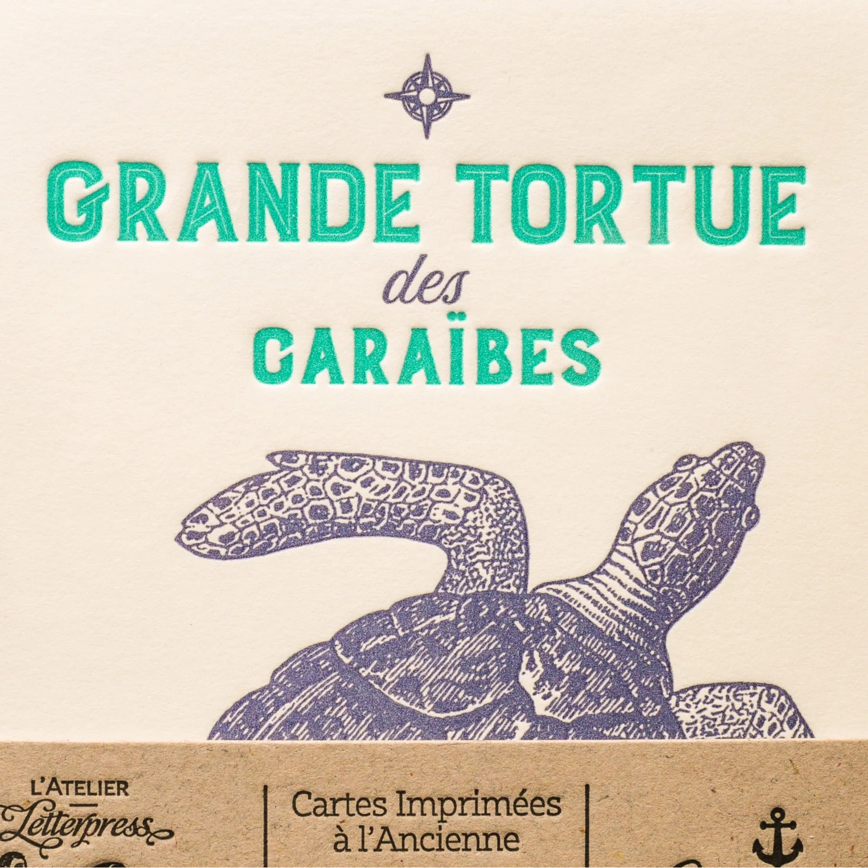 A close up of an art print card bound together with a recycled brown paper strip, showing turquoise text and a navy turtle illustration on an off-white paper.