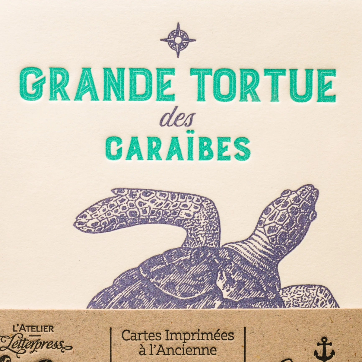 A close up of an art print card bound together with a recycled brown paper strip, showing turquoise text and a navy turtle illustration on an off-white paper.