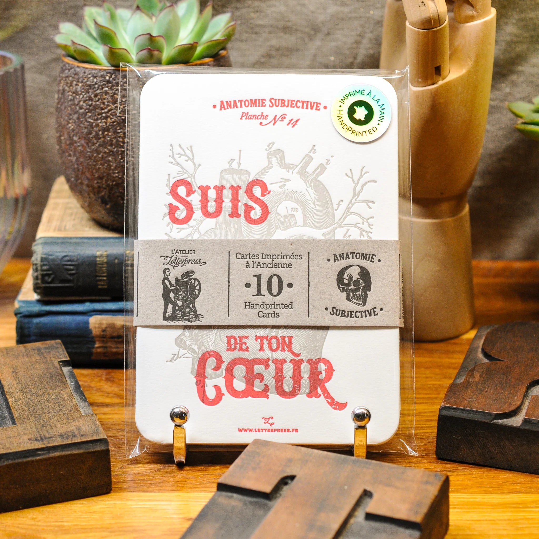 Packaged set of 10 anatomy art print cards bound together with a recycled brown paper strip on a wooden surface with decorative items.