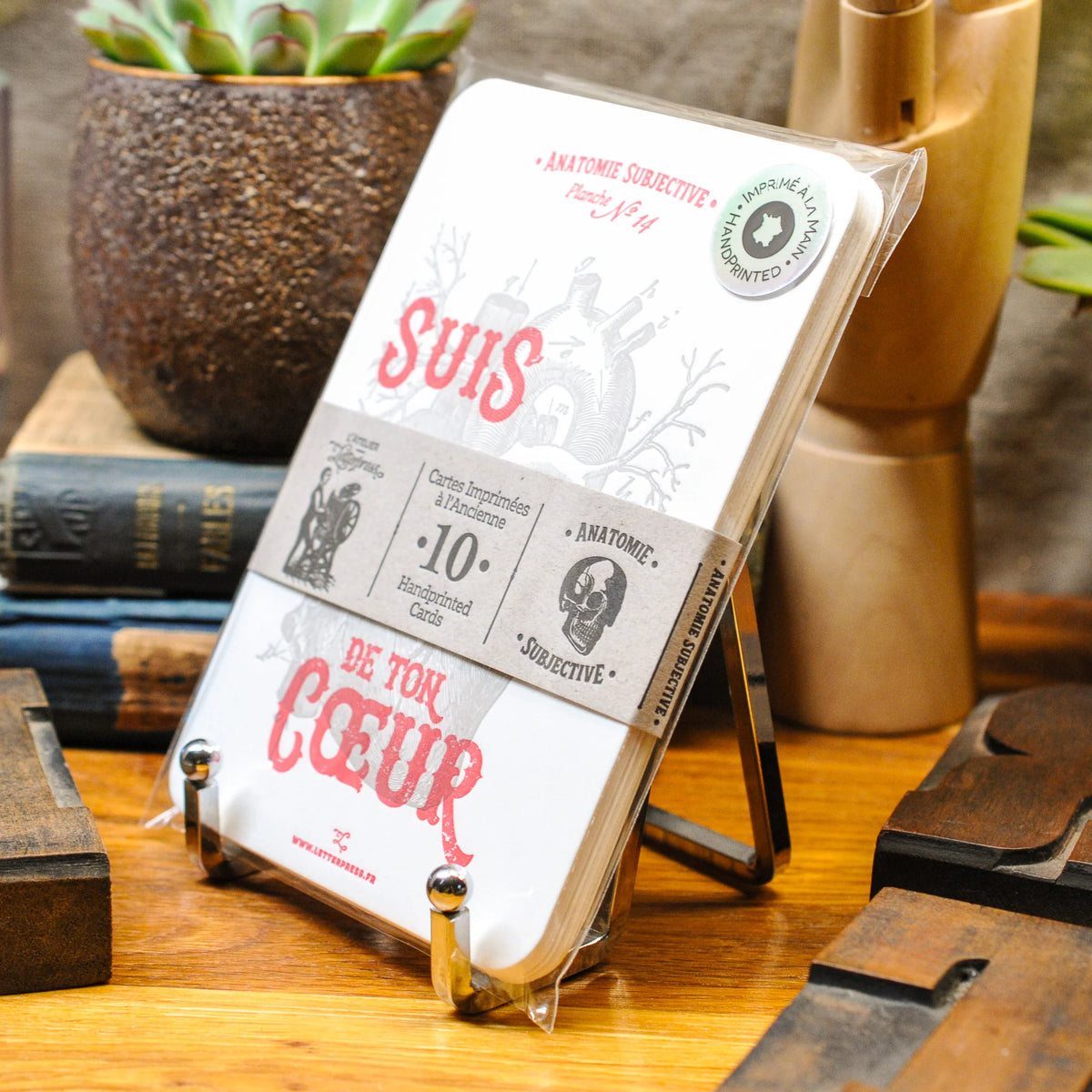 Packaged set of 10 anatomy art print cards bound together with a recycled brown paper strip from a side angled view on a wooden surface with books and a plant in the background.