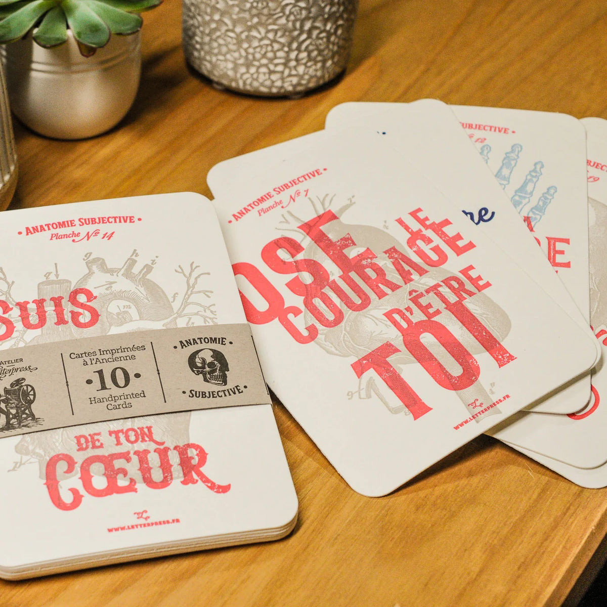 A set of French text set of 10 anatomy art print cards spread out and displayed on a wooden tabletop. The cards are coloured with red and gray text and illustrations, and a paper band wraps one card.