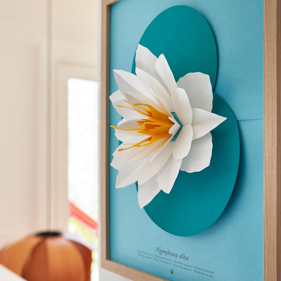 Paper White Waterlily (Nymphaea Alba)