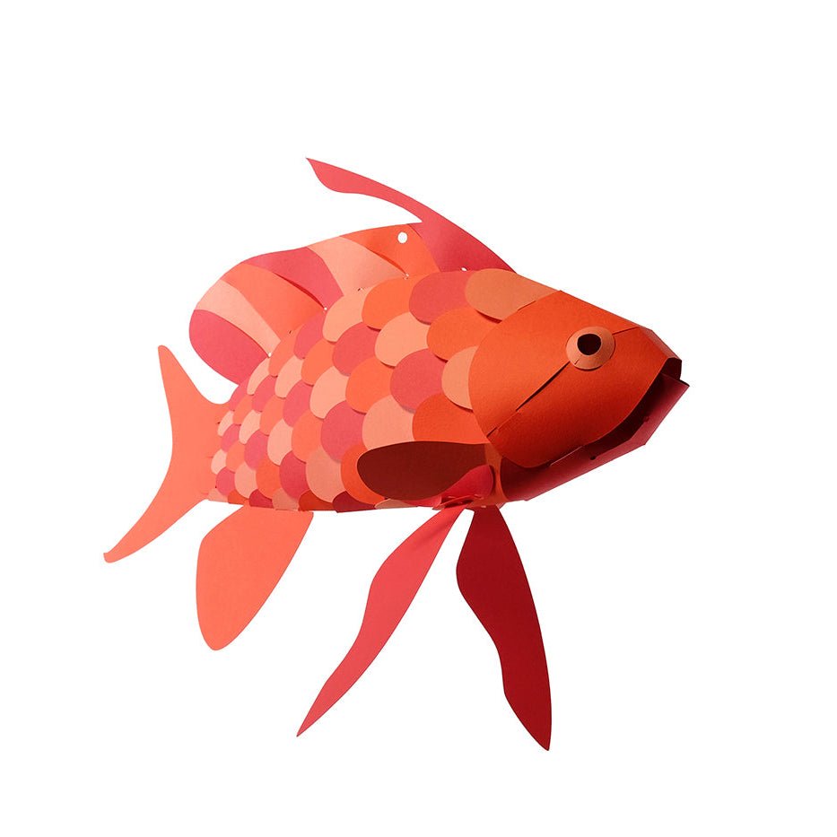 Paper Swallowtail Sea Perch (Anthias Anthias)