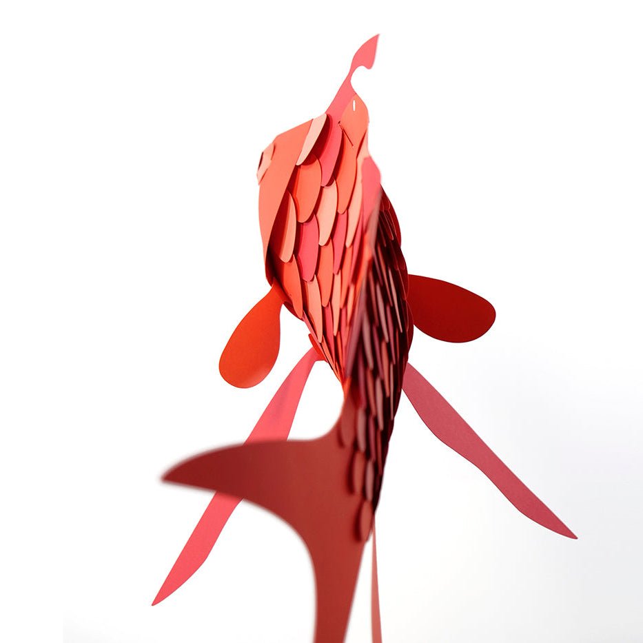 Paper Swallowtail Sea Perch (Anthias Anthias)