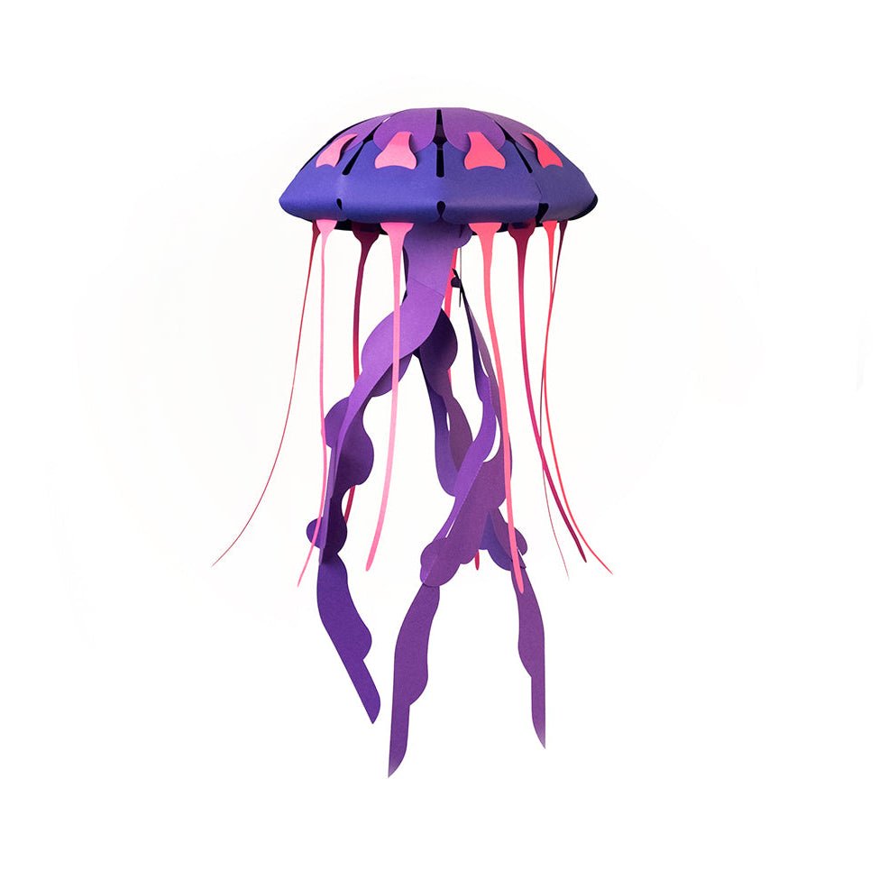 Paper Compass Jellyfish (Chrysaora Hysoscella)
