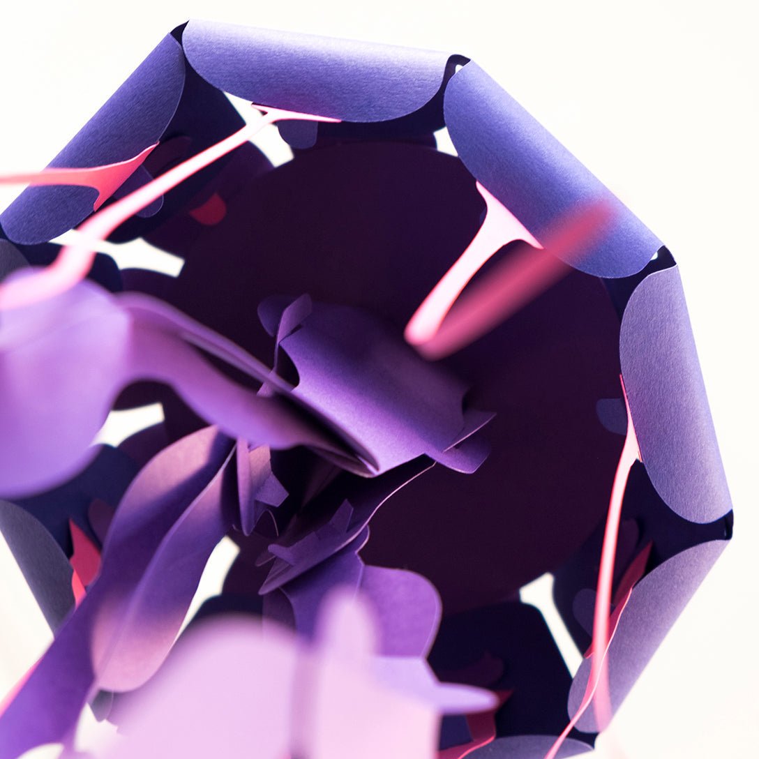 Paper Compass Jellyfish (Chrysaora Hysoscella)