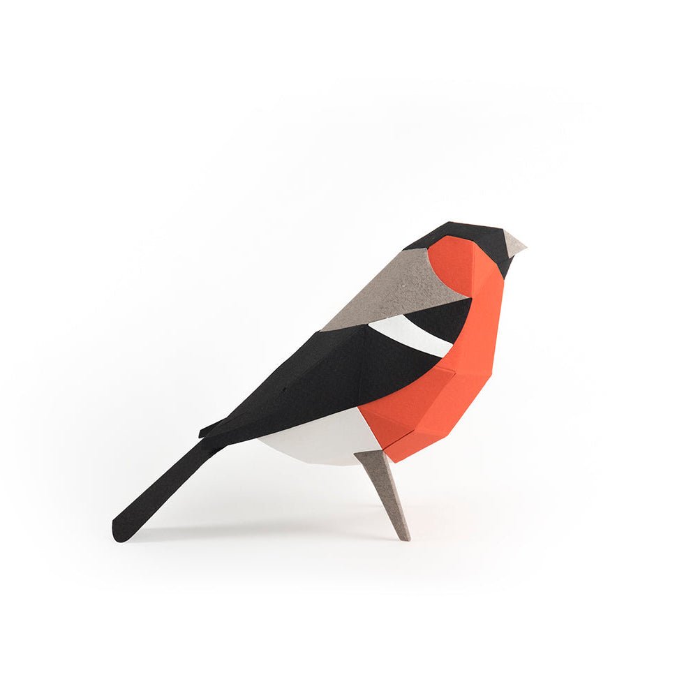 Paper Bullfinch (Pyrrhula Pyrrhula)