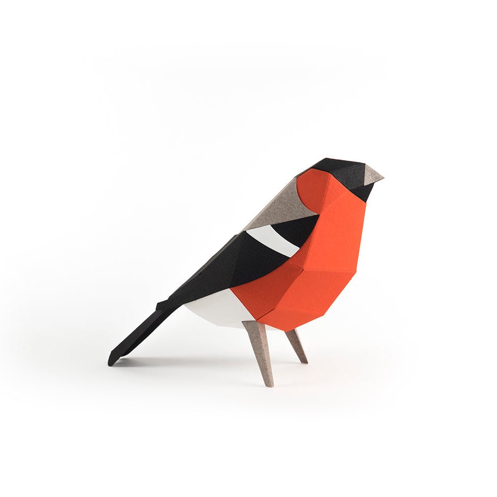 Paper Bullfinch (Pyrrhula Pyrrhula)