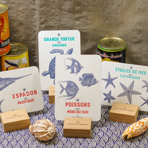 A set of French text set of 10 Maritime sea creatures art print cards displayed in wooden stands on a patterned blue and white tablecloth seashells and seafood can. The cards are coloured with red and gray text and illustrations.