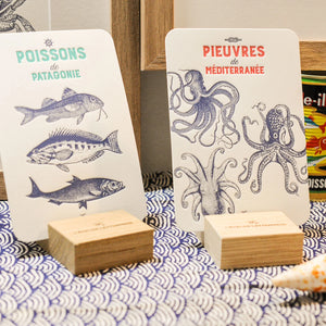 Two art print cards displayed on small wooden stands on a blue-and-white patterned surface. The left card has 3 fish illustrations, and the right card has 3  octopuses illustrations, each with text.