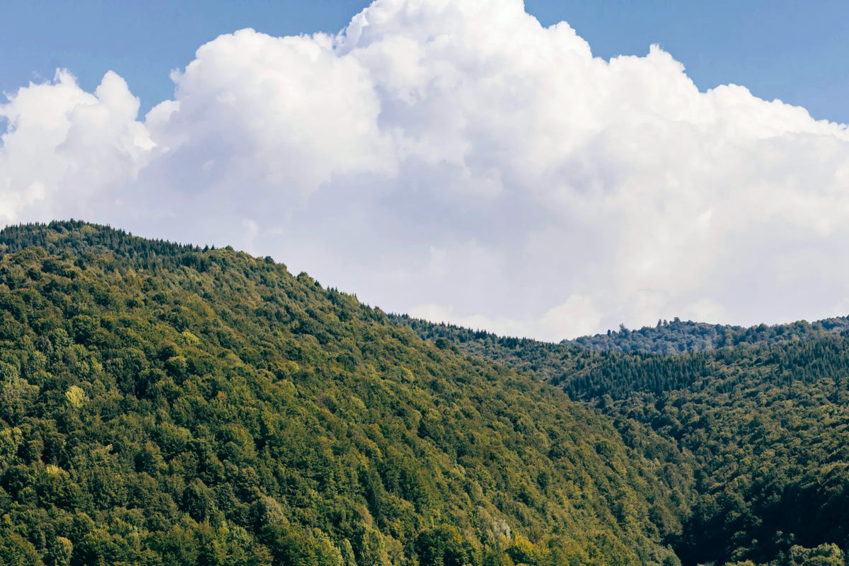 A scenic landscape of green forested mountains under a bright blue sky with large white clouds.